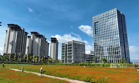 美麗花海引客來(lái)